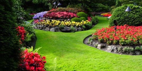 dreamstime_xl_10630318