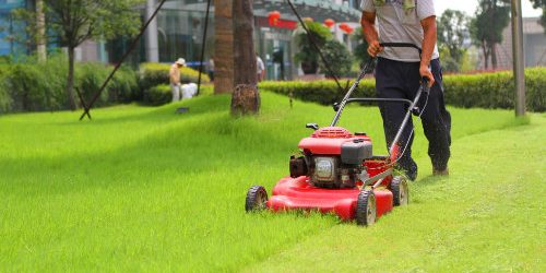 dreamstime_xl_26738414