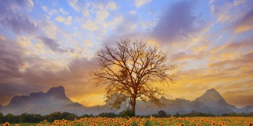 dreamstime_xl_48319427